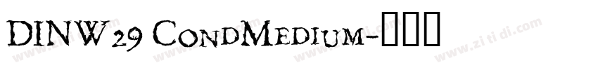 DINW29 CondMedium字体转换
